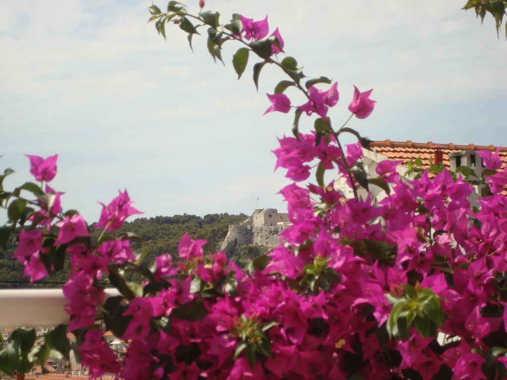 Apartments Iris Hvar Town Esterno foto